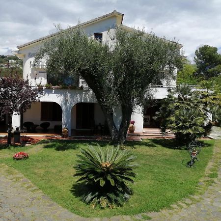 Villa Livia Villammare Zewnętrze zdjęcie