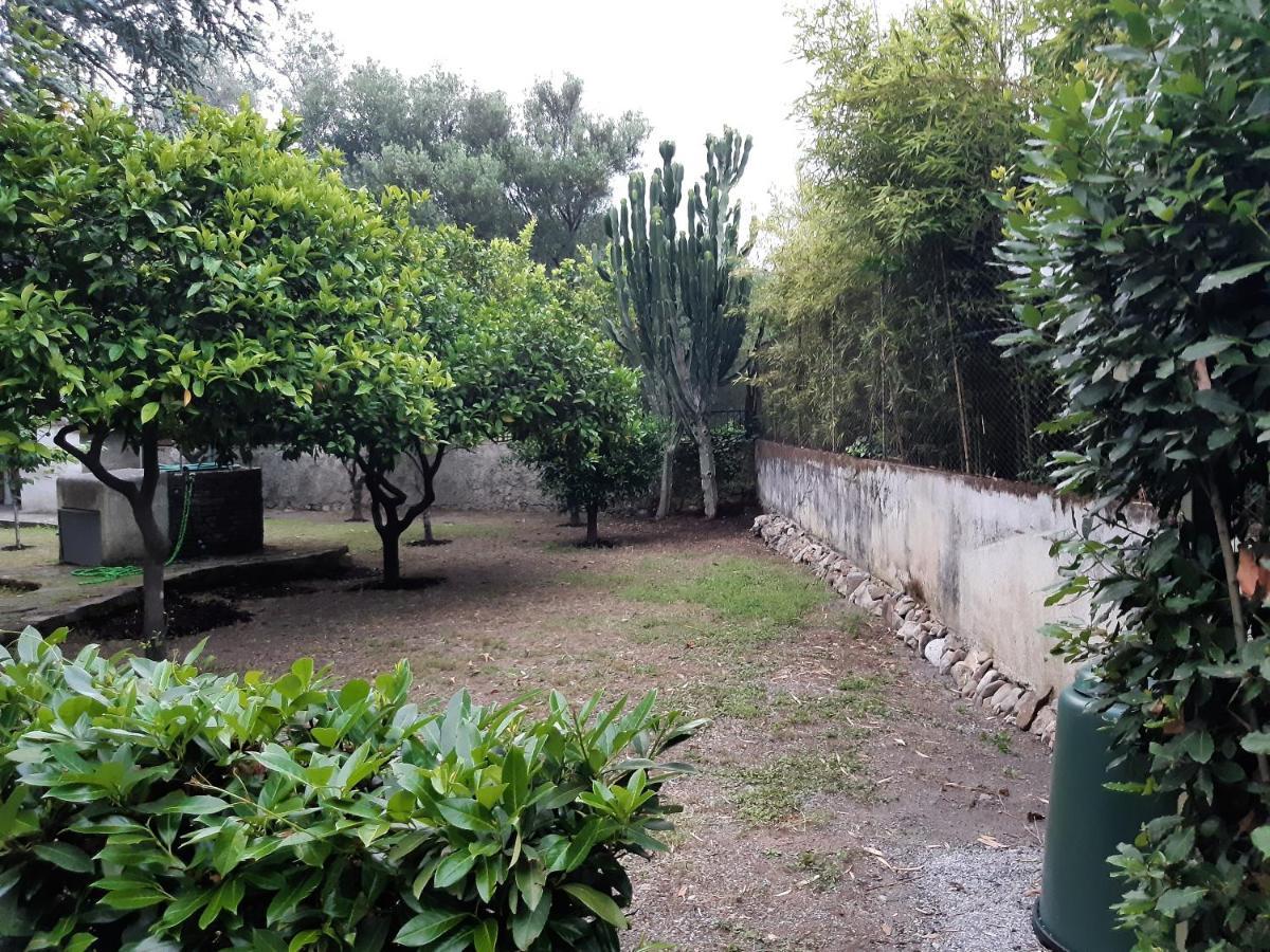 Villa Livia Villammare Zewnętrze zdjęcie