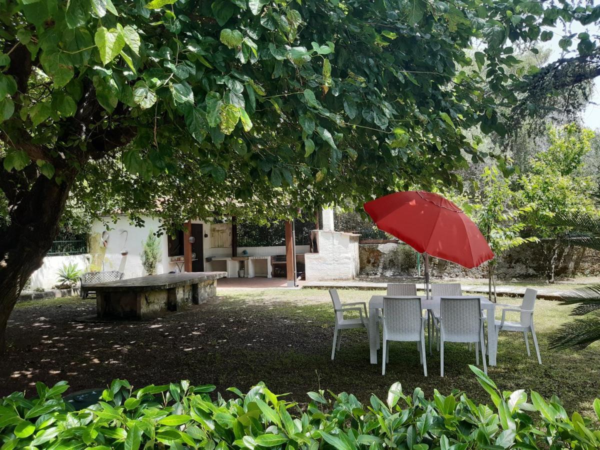 Villa Livia Villammare Zewnętrze zdjęcie