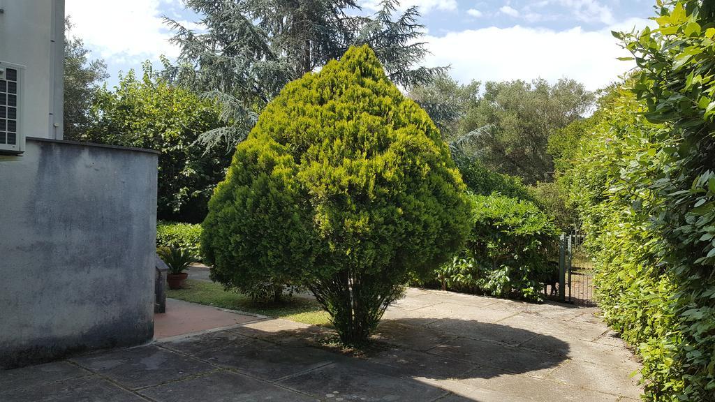 Villa Livia Villammare Zewnętrze zdjęcie