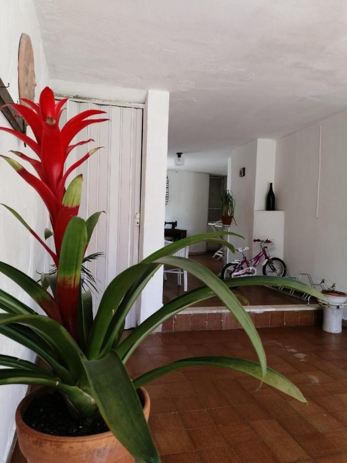 Villa Livia Villammare Zewnętrze zdjęcie