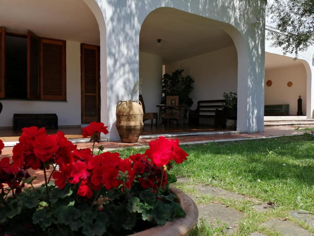 Villa Livia Villammare Zewnętrze zdjęcie